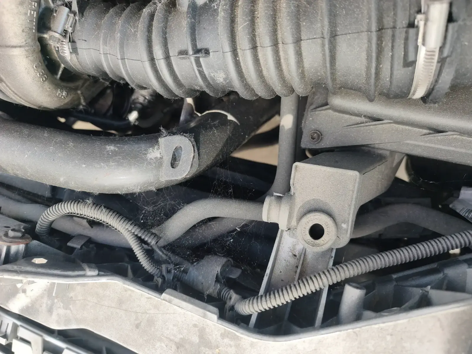 FORD FOCUS - Image 22