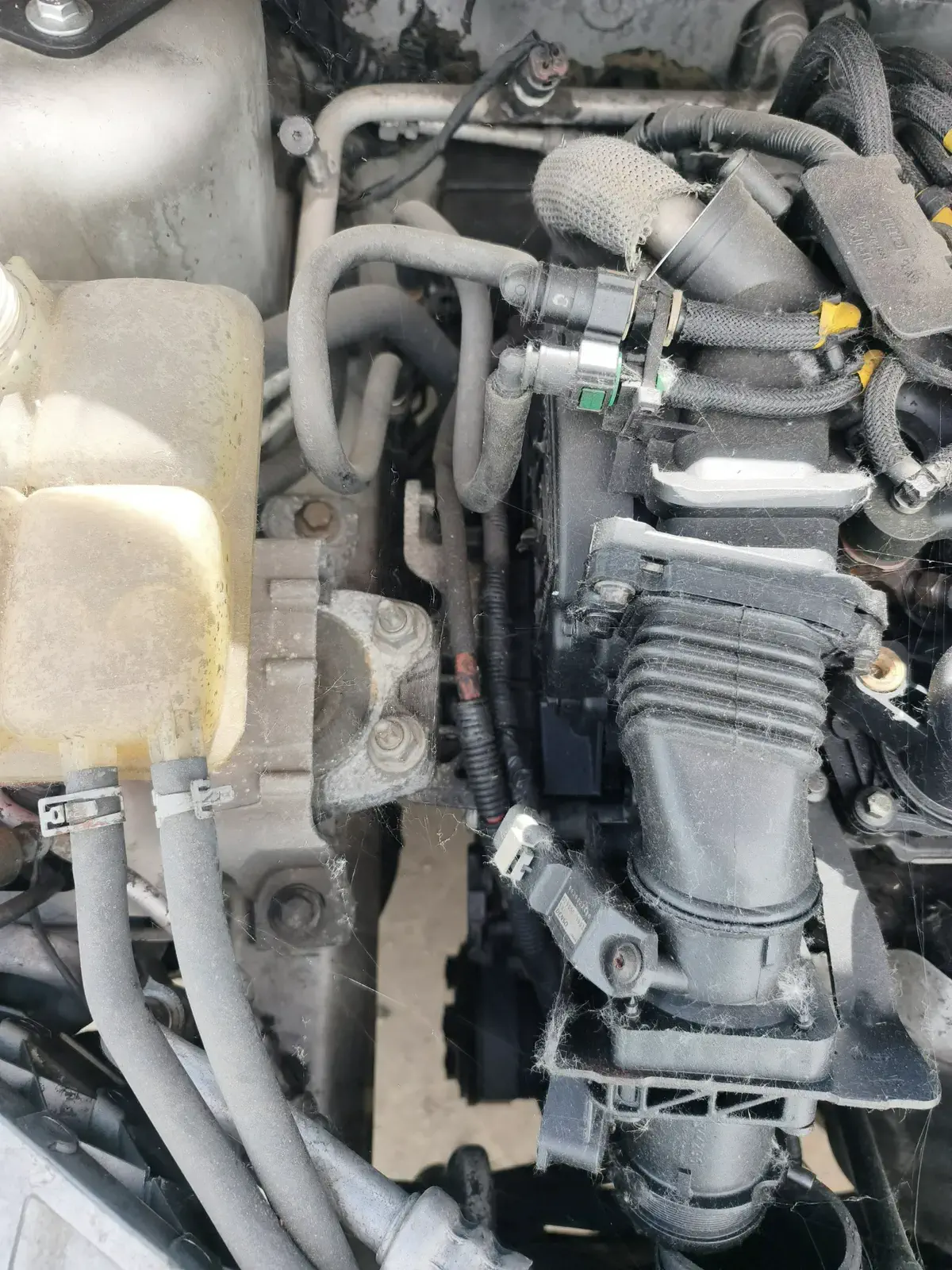 FORD FOCUS - Image 19