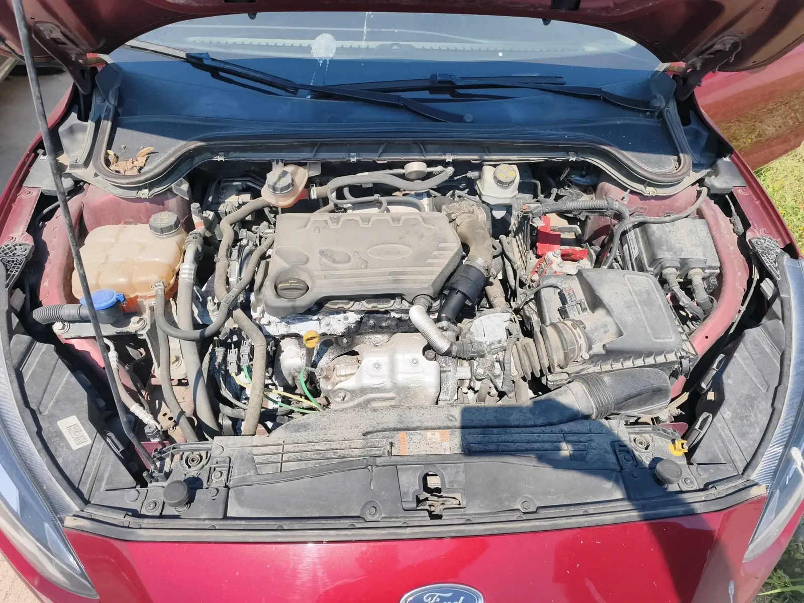 FORD FOCUS - Image 20